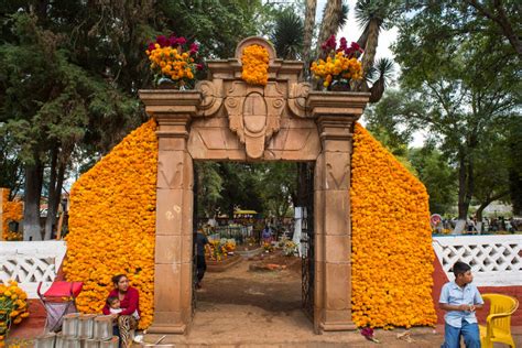 La flor de cempasúchil un ícono de Día de Muertos México Desconocido