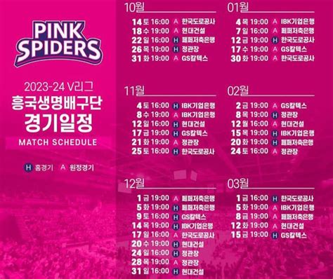 Jadwal Pink Spiders Putaran 5 KOVO V League Jangan Lewatkan Aksi Ratu