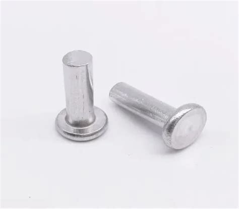 Stainless Steel Hot Rolled Flat Head Rivet At Best Price In Rohtak ID