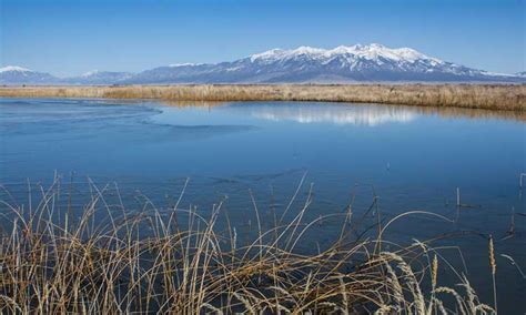 Wildlife Refuges Archives - Rio Grande County Tourism Monte Vista Del ...