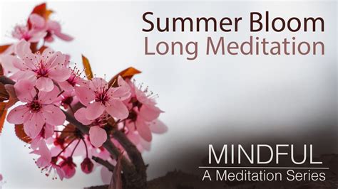 This Minute Guided Meditation Is All You Ll Need For A Mid Year