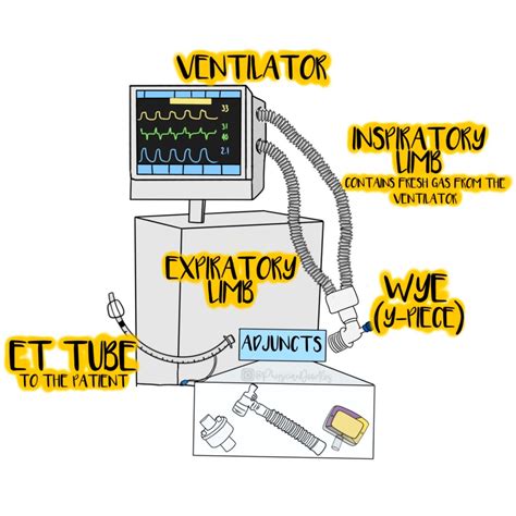 Basics of Dead Space Ventilation - CriticalCareNow