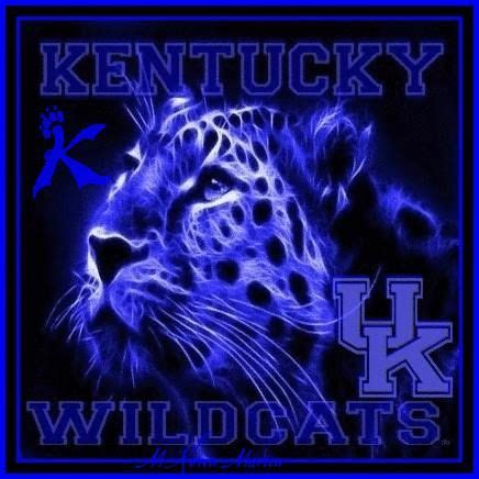 Pin By Johnna Garrett On University Of Ky Wildcats And Nba Cats