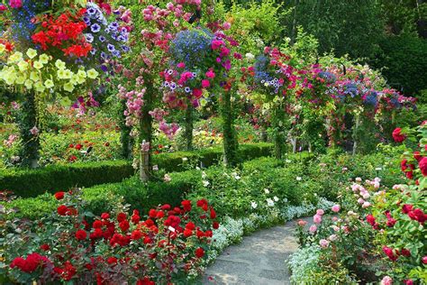 Rose Garden HD Wallpapers - Top Free Rose Garden HD Backgrounds ...