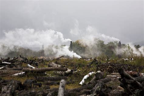 Deforestation And Environmental Pollution Stock Image Image 12182675