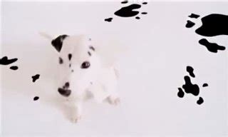 102 DALMATIANS Trailer (2000) | Movie Trailers and Videos