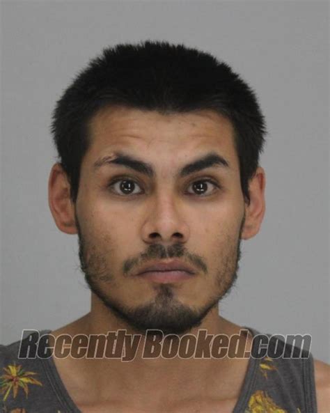 Recent Booking Mugshot For Dominique Castillo In Dallas County Texas