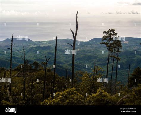 Sierra maestra mountains cuba hi-res stock photography and images - Alamy