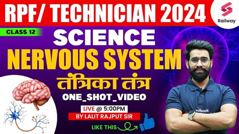 Nervous System For Rpf Constable Si Science Rrb Technician