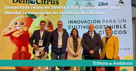 Democitrus reúne en Sevilla a 800 profesionales para abordar la