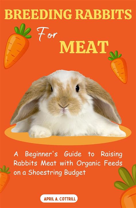 Breeding Rabbits For Meat A Beginners Guide To Raising