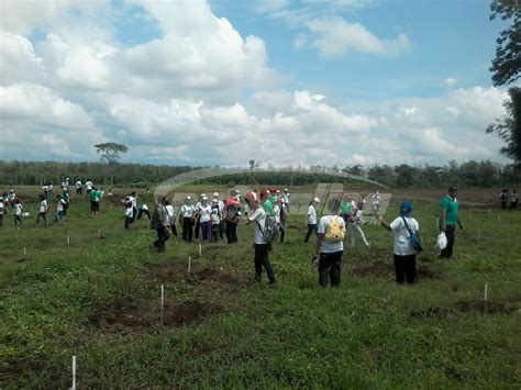 Ribu Hektar Lahan Di Jember Tergolong Kritis Radio Prosalina Fm