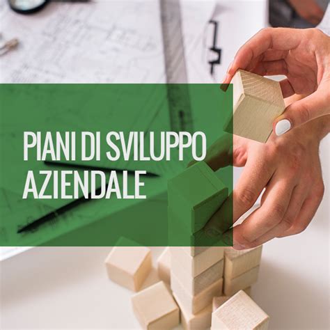 PIANI DI SVILUPPO AZIENDALE CONFORM CONSULENZA