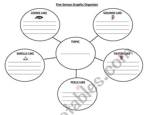 Five Senses Bubble Map Graphic Organizer Esl Worksheet By Rsharpe86