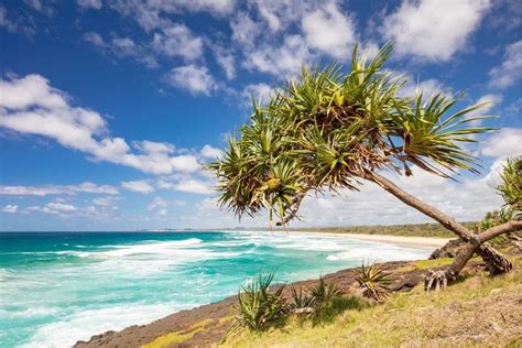 Discover The Best Of Tweed Heads In New South Wales Ultimate To Do