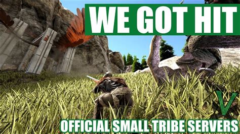 Setting Up After Getting Raided Ark Official Pvp Small Tribe Servers