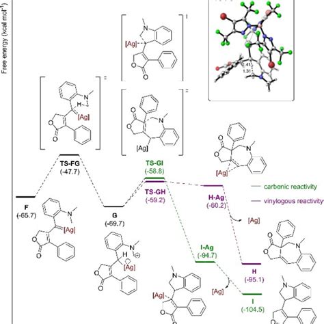 Gibbs Energy Profile In Kcal Mol Of The Silver Catalyzed C H