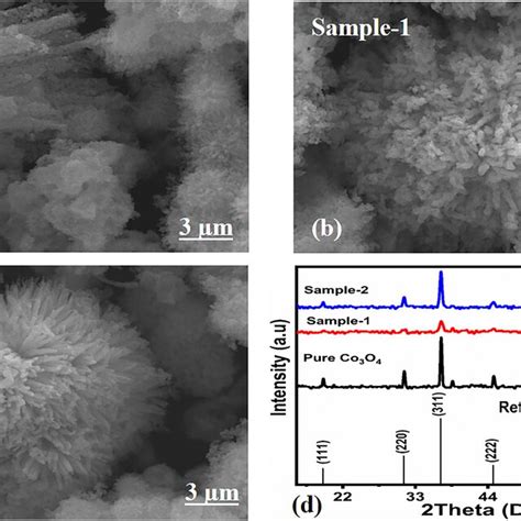 Ac Prominent Sem Images Of Different Samples Including Pure Co O