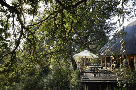 The 5 Best Luxury Safari Lodges in South Africa | Elite Traveler