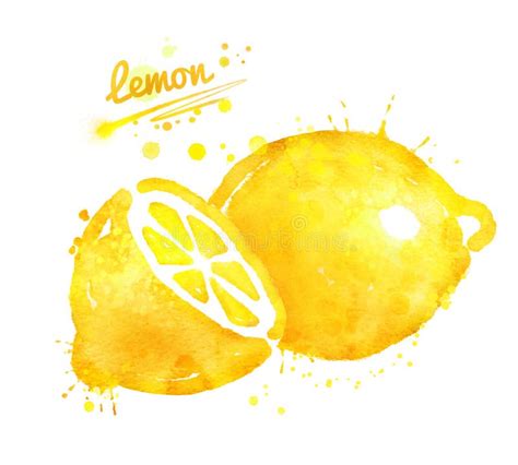 Illustrazione Disegnata A Mano Dell Acquerello Del Limone Illustrazione