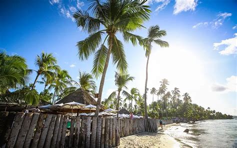 Praia Dos Carneiros O Que Fazer Quando Ir E Onde Ficar Hospedado