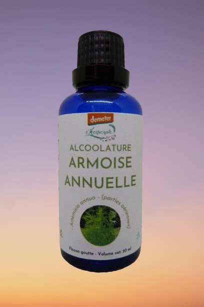 Alcoolature Bio Armoise Annuelle Artemisia Annua