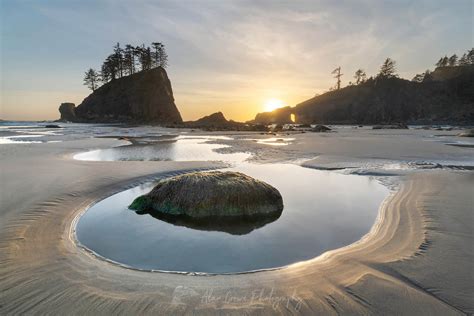 Second Beach Olympic National Park - Alan Crowe Photography