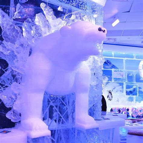 How Cold Is The Ice Bar In Vegas At Bonnie Wolter Blog