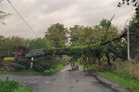 Après Ciarán la tempête Domingos arrive l Orne placé en vigilance jaune