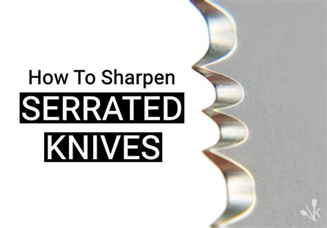 How To Sharpen A Serrated Knife Kitchensanity