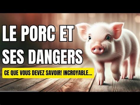 Le Porc Pourquoi Il Est Haram Youtube