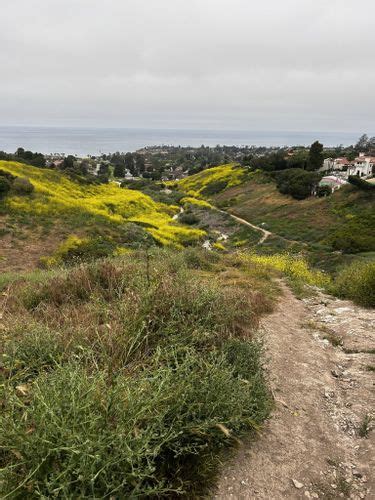 2023 Best City Walk Trails in Palos Verdes Peninsula | AllTrails