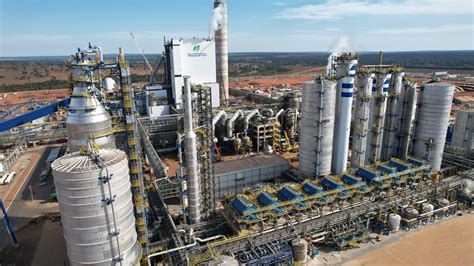 Suzano Starts Operation Of Worlds Largest Pulp Production Line