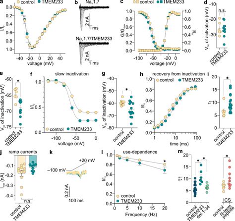 Hek Hna V Cells Thermo Fisher Bioz