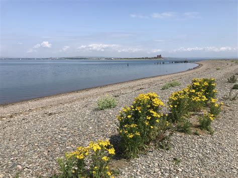 Enjoying the South Walney Island Nature Reserve - Adventures in Oceanography and Teaching