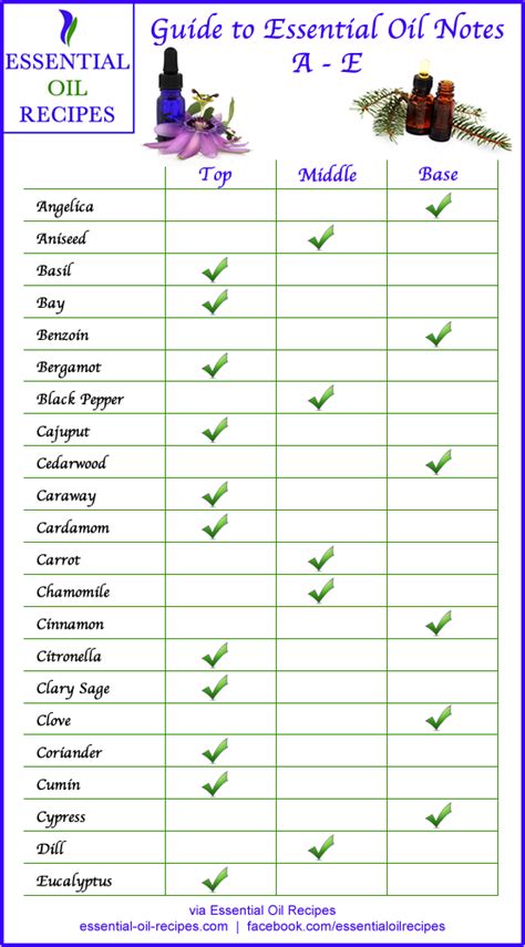 Heres A Useful Guide To Essential Oil Notes Which Can Help When Making