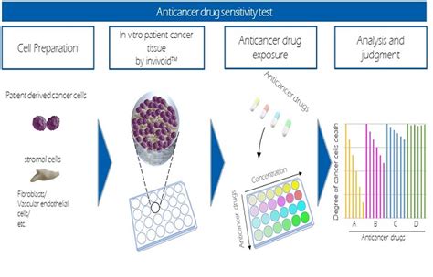 Anticancer drugs research by Osaka University, JFCR and Toppan ...