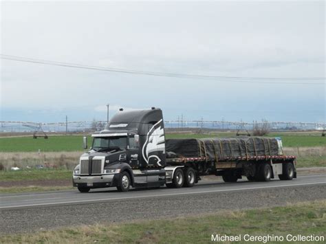 cedarpoint trucking western star xe  flatbed international
