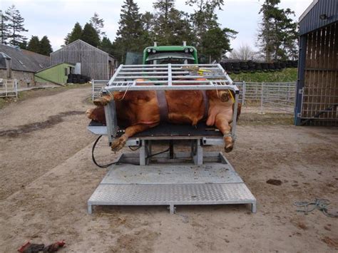 Cattle Handling Equipment by LivestockEquipment.Co.UK - Quality ...