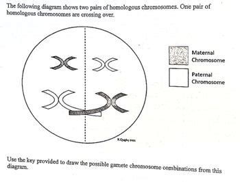 Answered: The following diagram shows two pairs… | bartleby