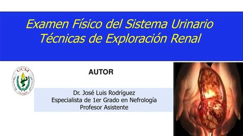 Maniobras De Exploraci N Renal Dr Jose Luis Rodr Guez L Pez Udocz