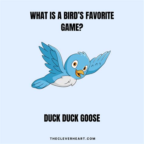 65 Funny Bird Puns to Make You Chirp with Laughter - The Clever Heart