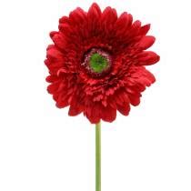 Floristik24 ch Gerbera künstlich Rot 62cm 6St 67289