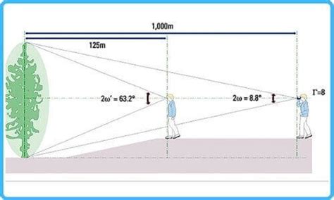 What Is The Best Magnification For Binoculars | Article 2021