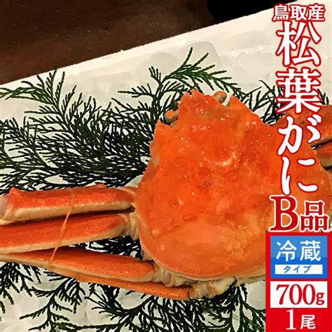 松葉蟹 かに 訳あり 松葉ガニ B品 大700g 浜ゆで 松葉蟹 ゆでがに 鳥取県産 マツバガニ わけあり ズワイガニ お中元 贈り物 御中元