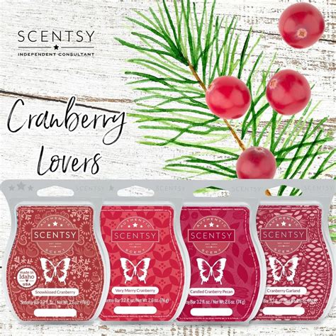 Cranberry Lovers Scentsy Scentsy Scent Candied Cranberries