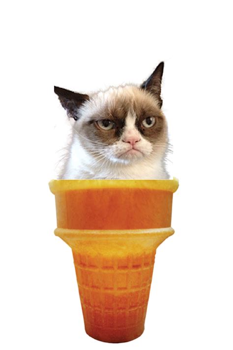 Can Cats Eat Puppy Ice Cream