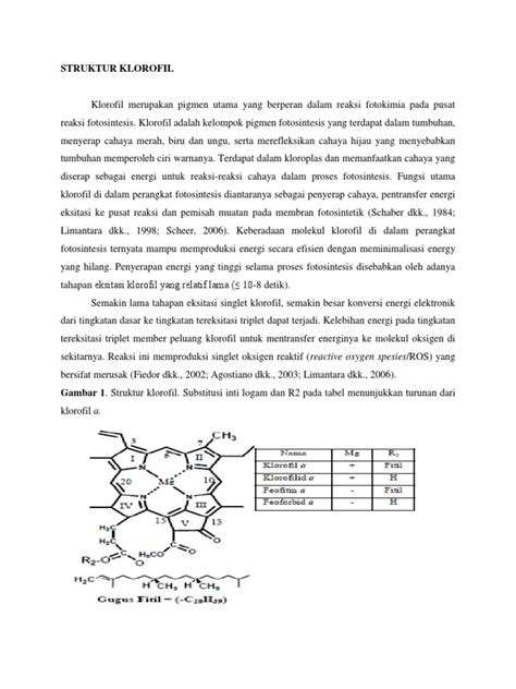 Struktur Klorofil | PDF