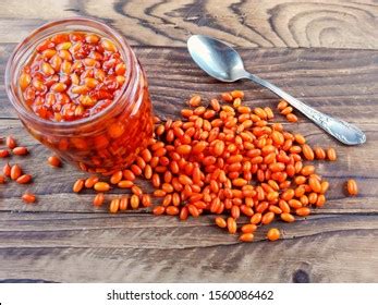 6,336 Seabuckthorn Images, Stock Photos & Vectors | Shutterstock