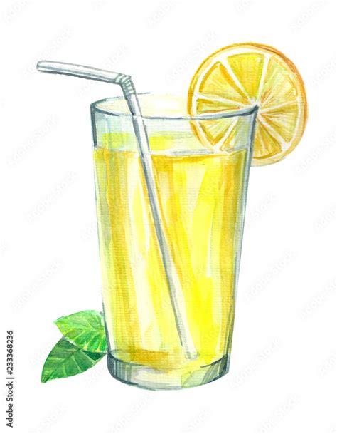 Lemonade With Lemon And Mint Image Of A Drink Watercolor Hand Drawn